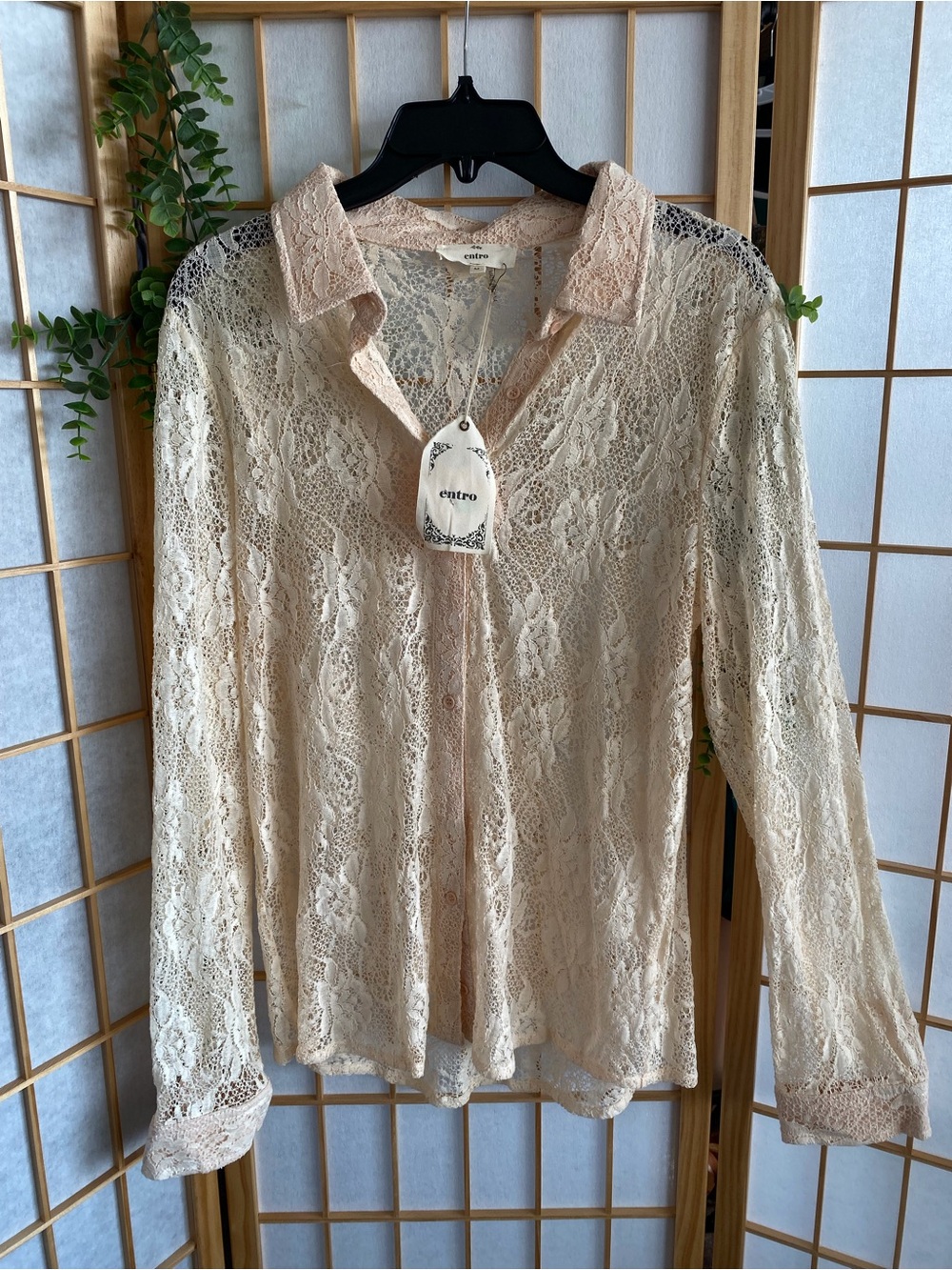 entro Sheer Lace Button-Up Blouse in Beige
